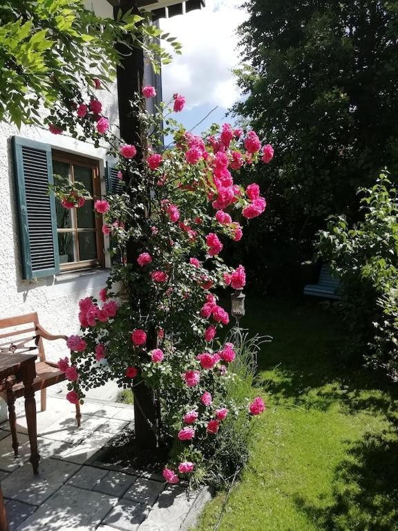 'Sissi' Ein Zaubehaftes Apartement Im Modernen Landhausstil Oberammergau Exteriör bild