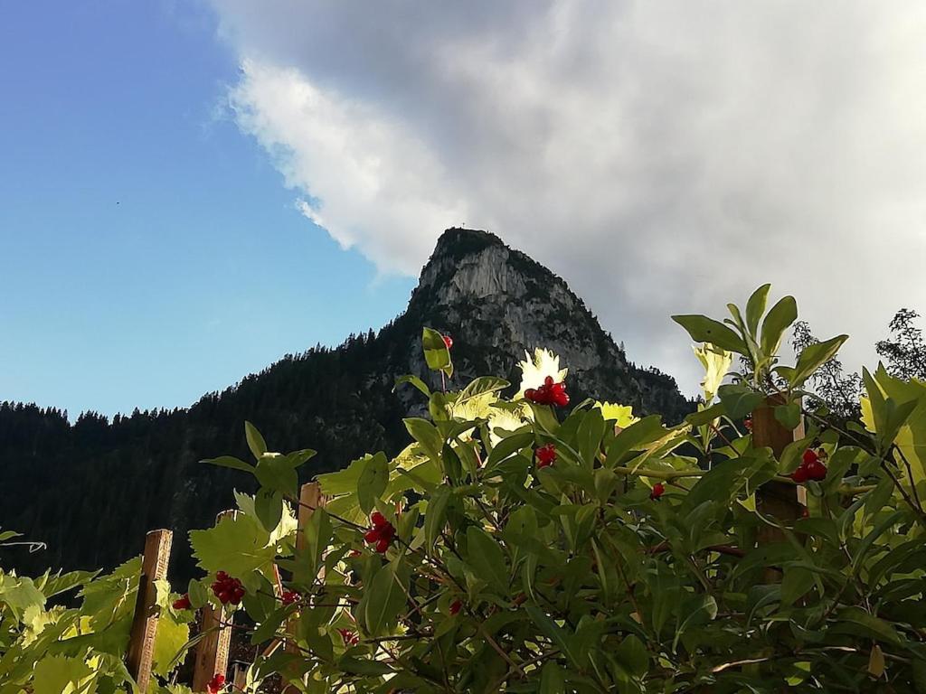 'Sissi' Ein Zaubehaftes Apartement Im Modernen Landhausstil Oberammergau Exteriör bild